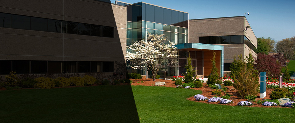 Bay Springs Landscapers