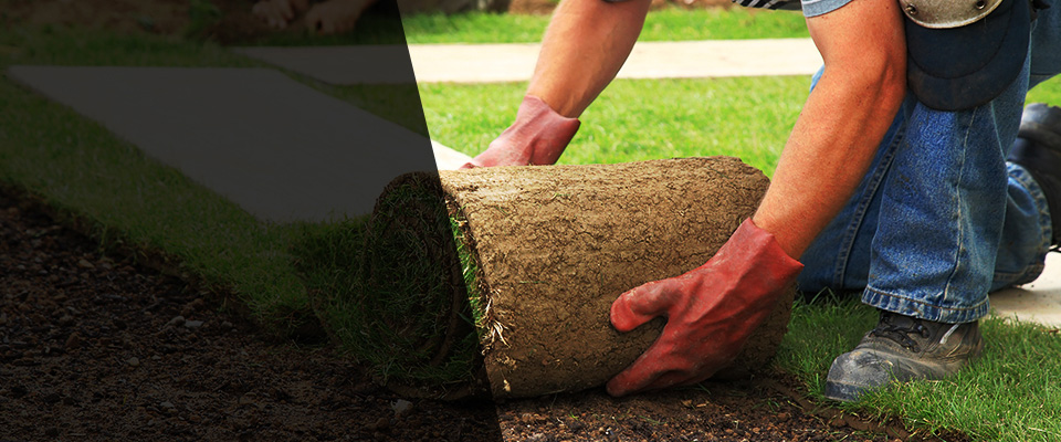 Bay Springs Landscapers